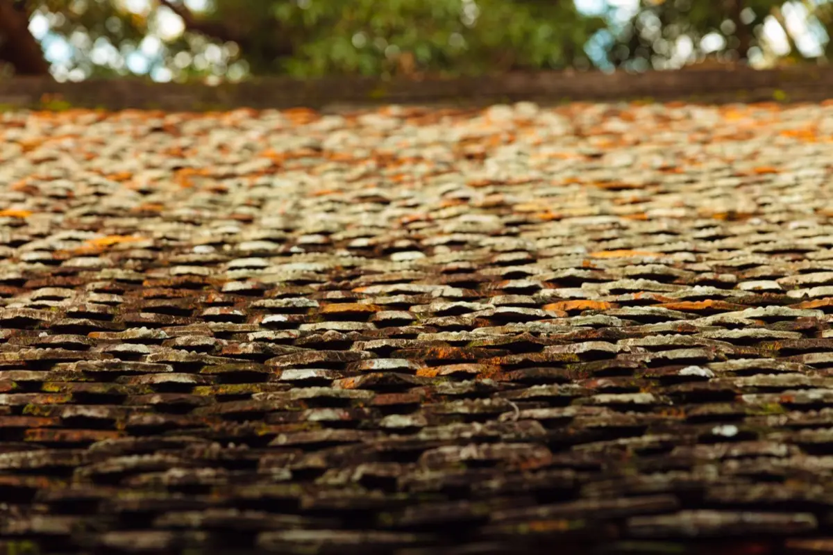 Aging shingle roof with moss growth and granule loss in Santa Cruz, CA